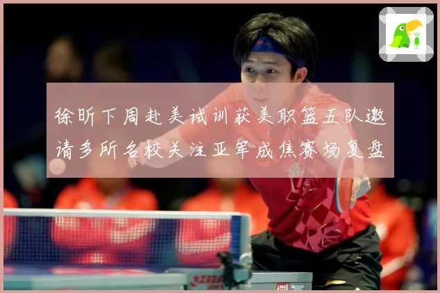 徐昕下周赴美试训获美职篮五队邀请多所名校关注亚军成焦赛场复盘：最新赛事动态与深度分析